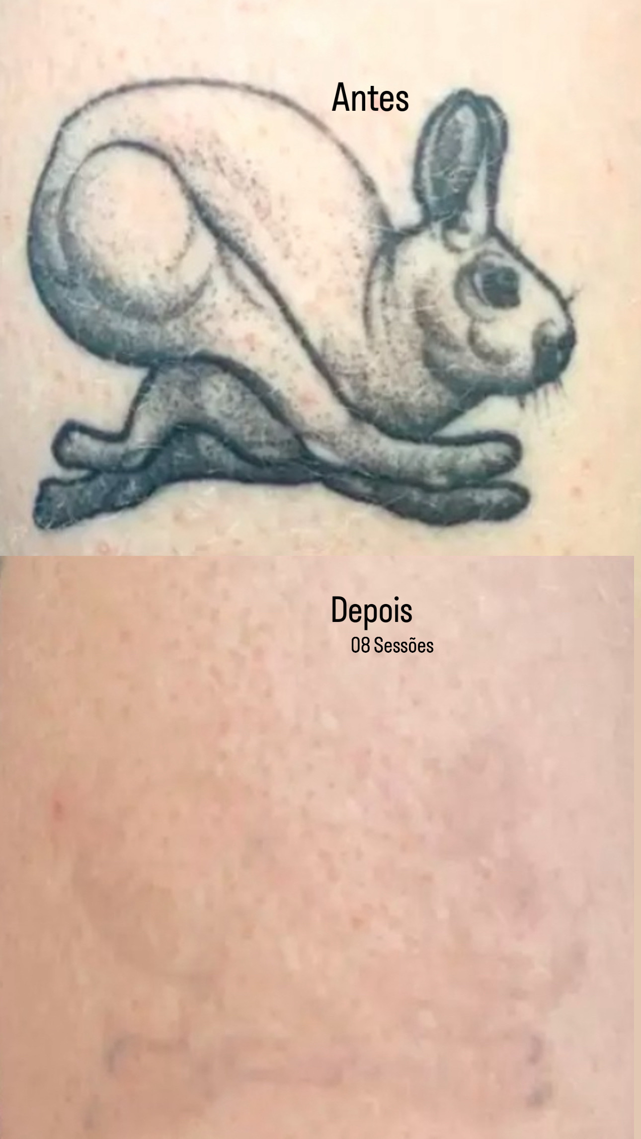 4773768C-F9E4-4684-A01D-54015564CA08