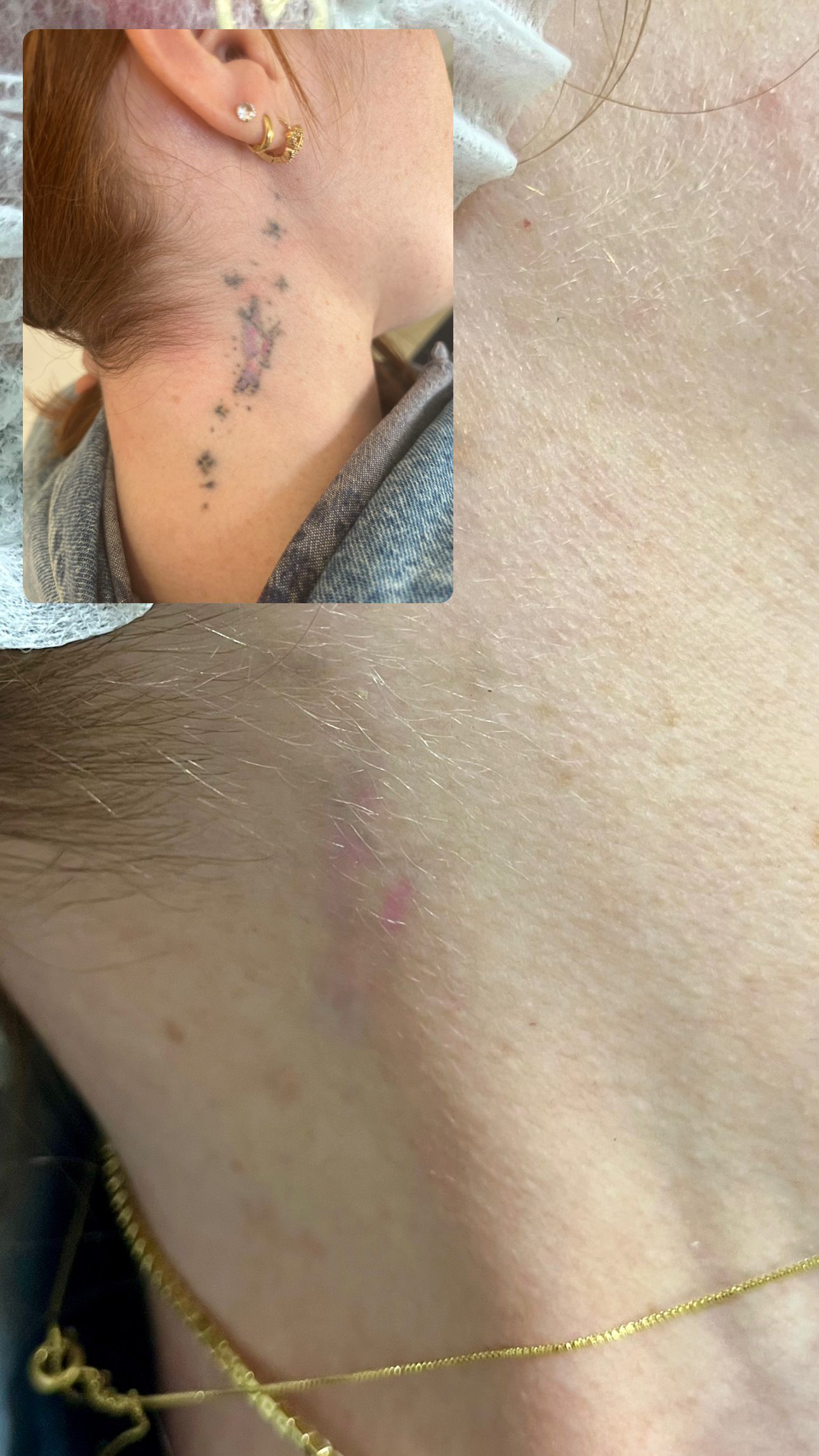 E6DD362E-602F-4AB8-9E46-515CA3839A03